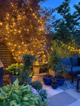 Click Here To Enlarge This Photo Of XP 24v Connectable Commercial Grade Tree Lighting Kits &lpar;Various Kit Sizes&rpar;